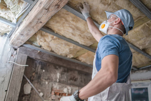 Best Insulation Maintenance and Repair in Granite Hills, CA
